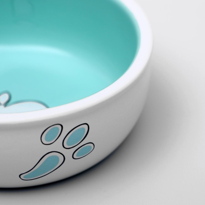 Миска керамическая для кроликов 200 мл  10 х 3,7 см, бело-зеленая Миска керамическая для кроликов 200 мл  10 х 3,7 см, бело-зеленая