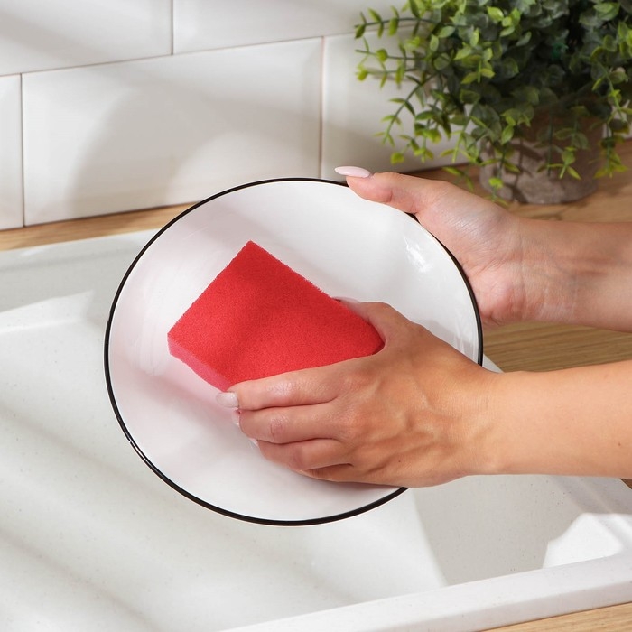 Набор губок для мытья посуды Raccoon «Кантри», 3 шт, 9,5×7×3,5 см, цвет красный, жёлтый Набор губок для мытья посуды Raccoon «Кантри», 3 шт, 9,5×7×3,5 см, цвет красный, жёлтый