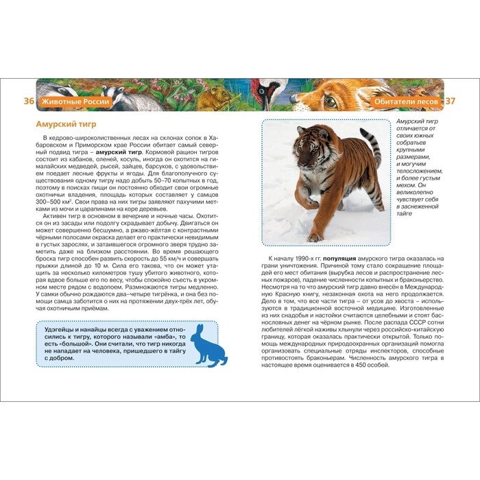 Детская энциклопедия «Животные России» Детская энциклопедия «Животные России»