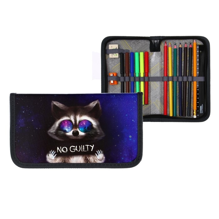 Пенал 1 секция, 115 х 205 мм, с наполнением 16 предметов, Calligrata Пенал 1 секция, 115 х 205 мм, с наполнением 16 предметов, Calligrata "Енот" ламинированный картон, 30П26/set