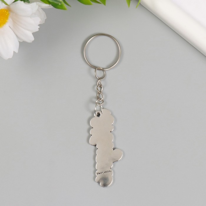 Брелок металл "Жизнь. Росток" 2х5 см