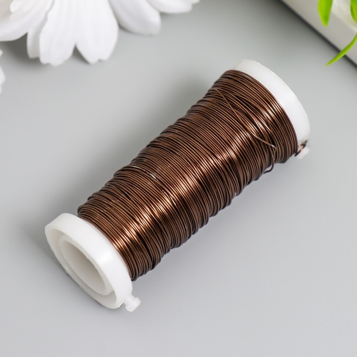 Проволока для творчества Проволока для творчества "Коричневый" 30 метров, толщина 0,3 мм 5,5х2,2х2,2 см