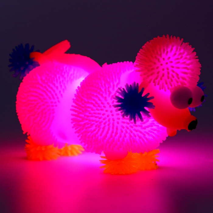 Мяч детский резиновый ёжка световой «Пудель», цвета МИКС , в шоубоксе Мяч детский резиновый ёжка световой «Пудель», цвета МИКС , в шоубоксе