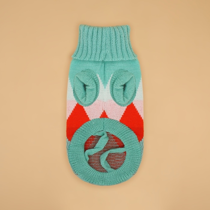 Свитер  Свитер "Весеннее настроение", L (ДС 29, ОШ 29, ОГ 29-49 см)