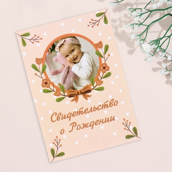 Папка под свидетельство о рождении  Папка под свидетельство о рождении "Девочка" бантик, веточки, А5