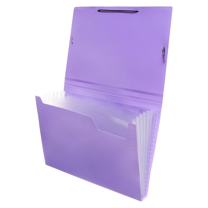 Папка картотека А4, Calligrata Папка картотека А4, Calligrata "Акварель", 6 отделений, пластиковая, 700 мкм, лавандовая, резинка чёрная