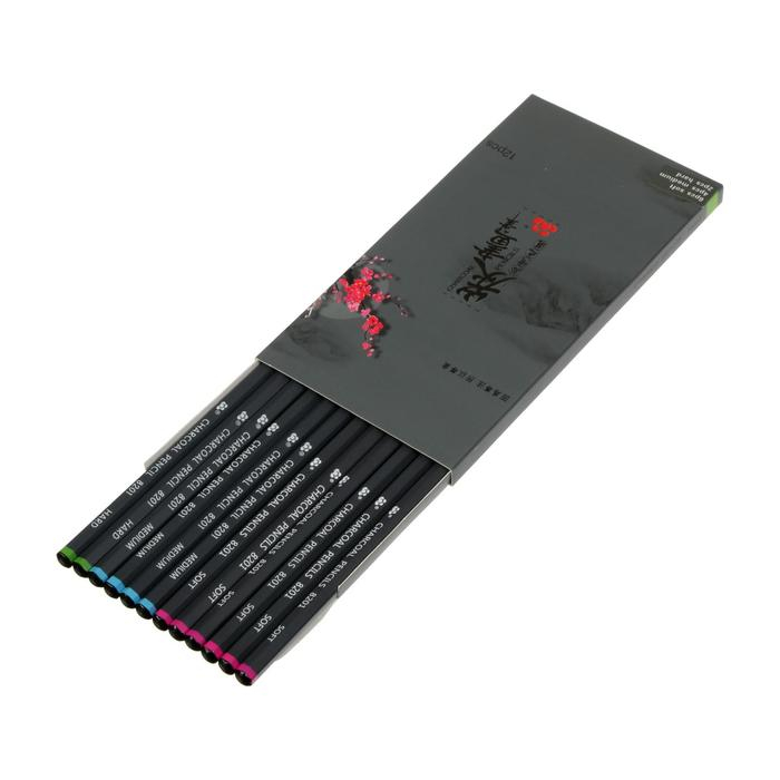 Карандаши угольные черные 12 штук в наборе (6 шт-мягкий,4 шт-средний,2 шт-твердый) Карандаши угольные черные 12 штук в наборе (6 шт-мягкий,4 шт-средний,2 шт-твердый)