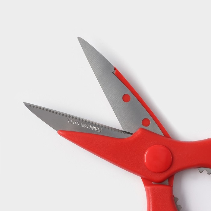 Ножницы кухонные Доляна «Вега», 20 см, цвет МИКС Ножницы кухонные Доляна «Вега», 20 см, цвет МИКС