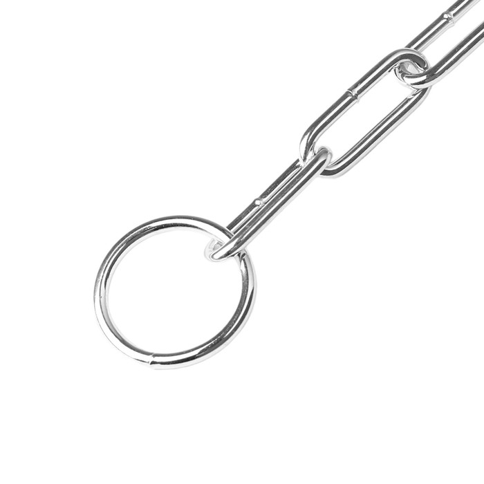 Цепь для привязи собак, 3 м, калибр 3 х 30 мм, гальванизированная Цепь для привязи собак, 3 м, калибр 3 х 30 мм, гальванизированная