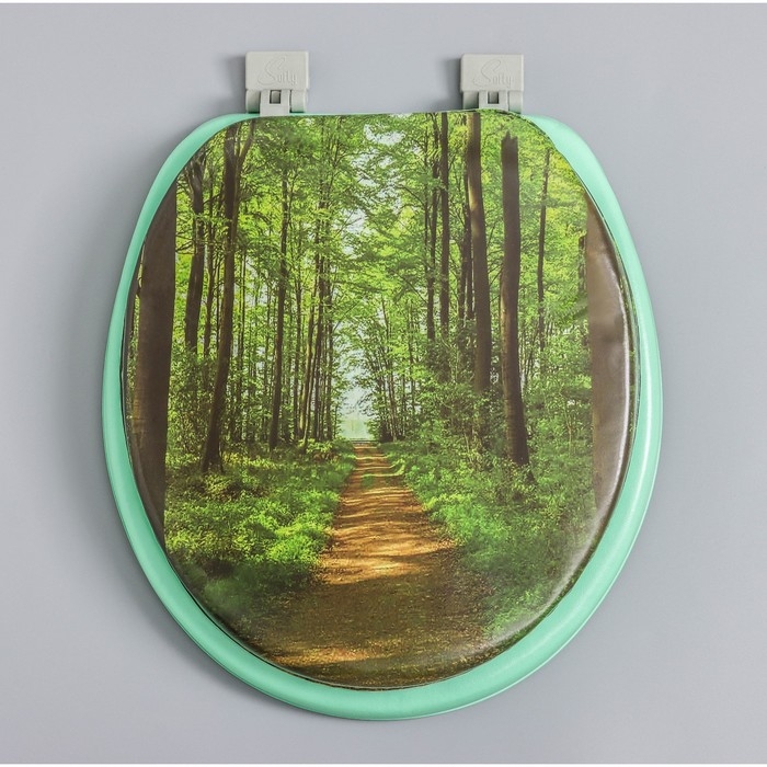 Сиденье для унитаза с крышкой,Росспласт, 43 х 37 см, мягкое, зелёное, МИКС Сиденье для унитаза с крышкой,Росспласт, 43 х 37 см, мягкое, зелёное, МИКС