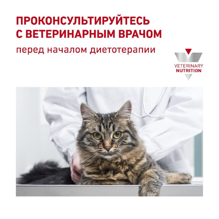 Сухой корм RC Renal RF 23 Feline для кошек с  почечной недостаточностью, 2 кг