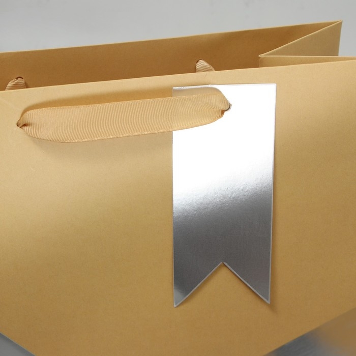 Пакет подарочный, упаковка, &laquo;Лучший&raquo;, ML 23 х 27 х 11.5 см