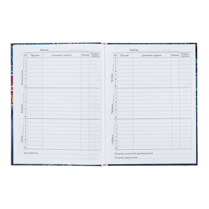 Дневник универсальный для 1-11 классов, "Котята в кармане", твердая обложка 7БЦ, глянцевая ламинация, 40 листов