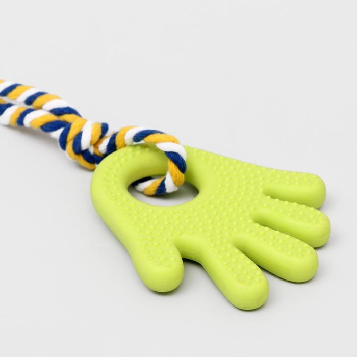 Игрушка жевательная с канатом для собак Игрушка жевательная с канатом для собак "Ладошка", 10 см, салатовая