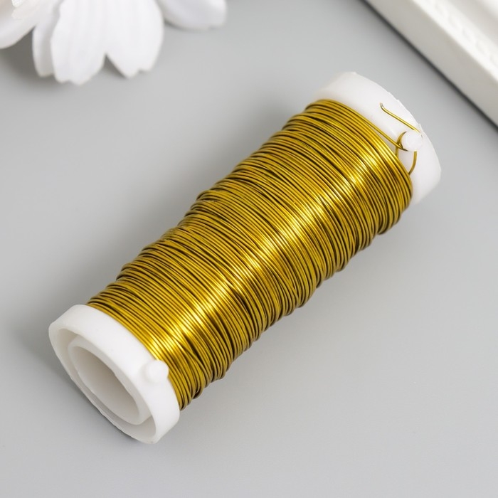 Проволока для творчества Проволока для творчества "Золото" 30 метров, толщина 0,3 мм 5,5х2,2х2,2 см
