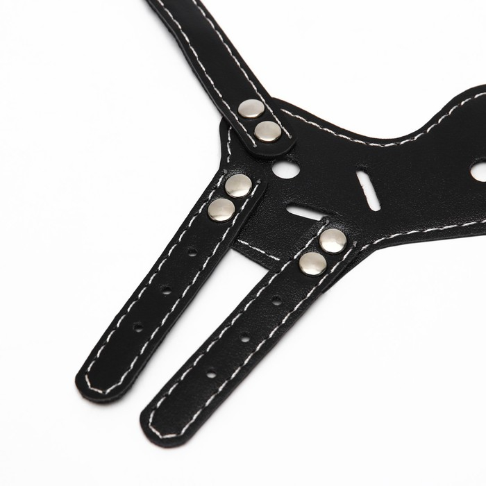 Намордник из прессованной кожи регулируемый, №2, ДН 5 см, ОМ 15-22 см, чёрный Намордник из прессованной кожи регулируемый, №2, ДН 5 см, ОМ 15-22 см, чёрный