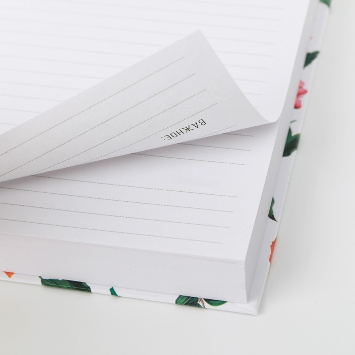 Ежедневник «Ежедневник», А5, 160 листов Ежедневник «Ежедневник», А5, 160 листов