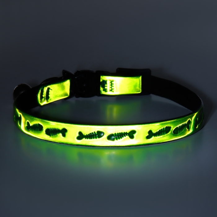 Ошейник кошачий со светоотражающим покрытием Ошейник кошачий со светоотражающим покрытием "Рыбки", 30 х 1 см, зелёный