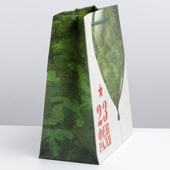 Пакет подарочный ламинированный вертикальный, упаковка, «С Праздником», ML 23 х 27 х 11,5 см