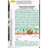 Семена цветов Пеларгония Рафаэлла F1 белая Мн С. Farao Золотая серия, Ц/П,5 шт. Семена цветов Пеларгония Рафаэлла F1 белая Мн С. Farao Золотая серия, Ц/П,5 шт.