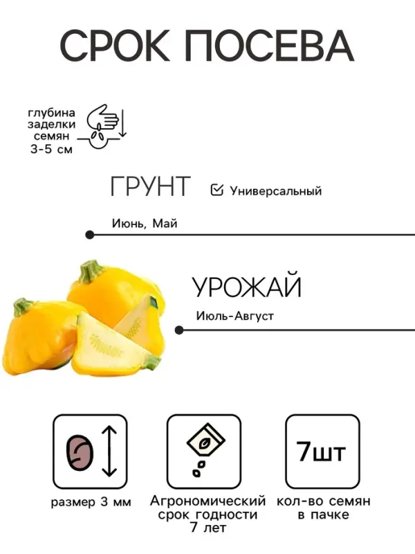 Семена Патиссон корнишон &laquo;Копейка&raquo;, 7 шт., Premium seeds