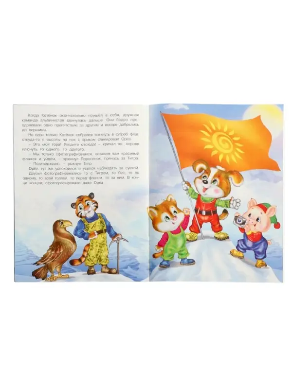 Книга &laquo;Покорители вершин&raquo;, 16 стр., Гурина И. В.