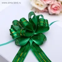 Бант - шар №3 «Золотые полосы», зелёный