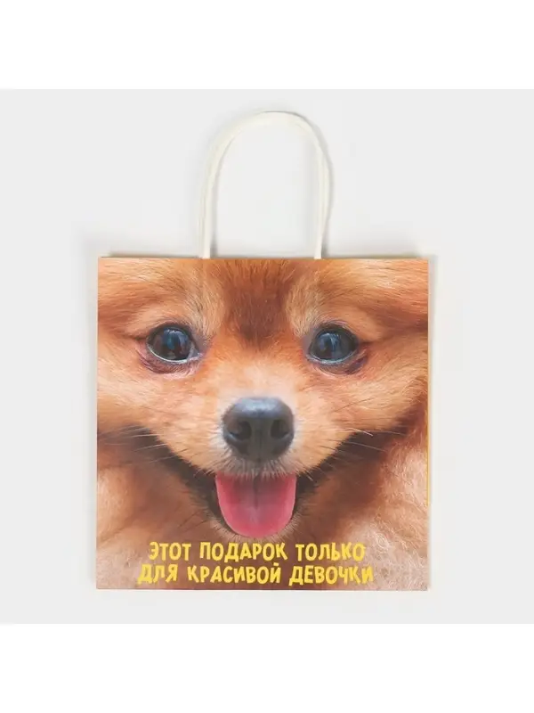 Пакет подарочный, упаковка, &laquo;Подарочек&raquo;, 22&times;22&times;11 см