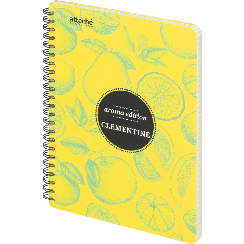 Бизнес-тетрадь  ароматизир.100л,кл,А5, КЛЕМЕНТИН,спир,тонир.блок 84906