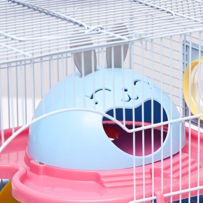 Клетка для грызунов Клетка для грызунов "Пижон", укомплектованная с туннелем, 37 х 27 х 30 см, синий