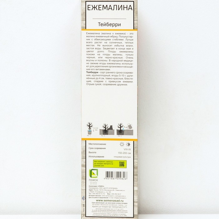 Ежемалина (Ежевика) Ежемалина (Ежевика) "Тейберри (малина х ежевика)" 1 шт, туба, Весна 2025