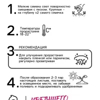 Семена цветов Монарда "Панорама Микс", 0,015 г