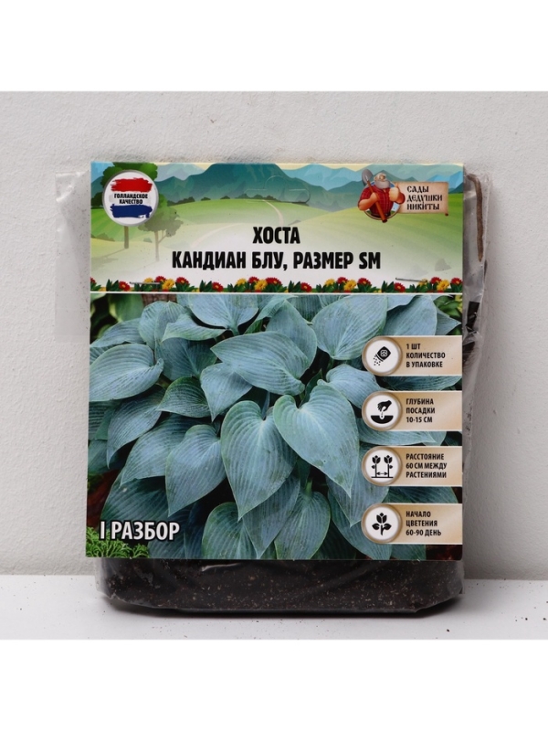 Хоста Canadian Blue, корневище в пакете с торфогрунтом, р-р I, размер SM,1 шт.
