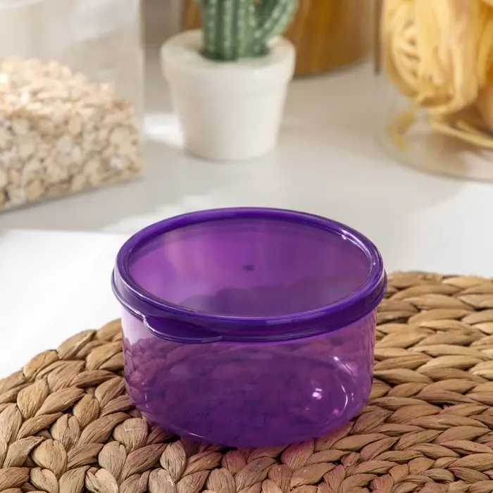 Контейнер круглый Доляна, пищевой, 300 мл, цвет фиолетовый Контейнер круглый Доляна, пищевой, 300 мл, цвет фиолетовый