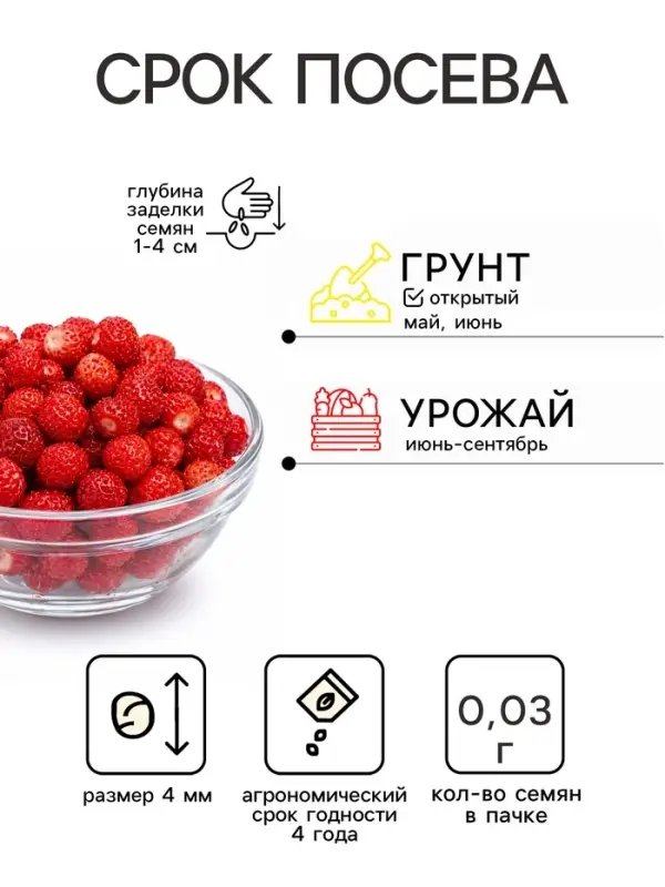 Семена Земляника &laquo;Вайс Солемахер&raquo;, белая, 0.03 г, &laquo;Аэлита&raquo;
