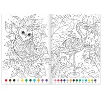 Раскраска по номерам &laquo;Удивительный мир&raquo;, 16 стр., формат А4