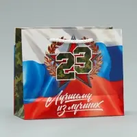 Пакет подарочный ламинированный, упаковка, «С 23 февраля», S 15 х 12 х 5.5 см