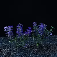 Набор растений для аквариума и террариума - 2 шт., 10 см