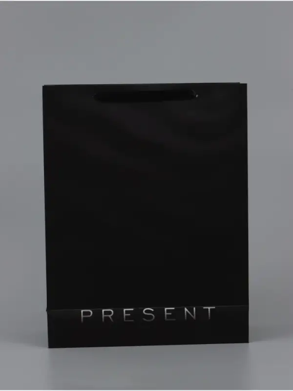 Пакет ламинированный вертикальный Present, 33&times;42&times;10 см