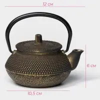 Чайник Доляна &laquo;Восточная ночь. Золото&raquo;, 300 мл, с ситом, чугун, индукция, золотистый