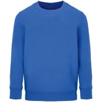 Свитшот детский Columbia Kids, ярко-синий (royal), на рост96-104