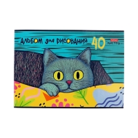 Альбом д/рис А4 40л на скобе Hatber "Котофей", обл мел карт, офсет, 5В МИКС