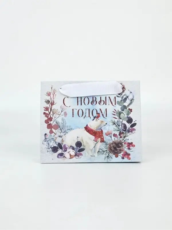 Набор новогодних пакетов &laquo;Время чудес в Новом году&raquo;