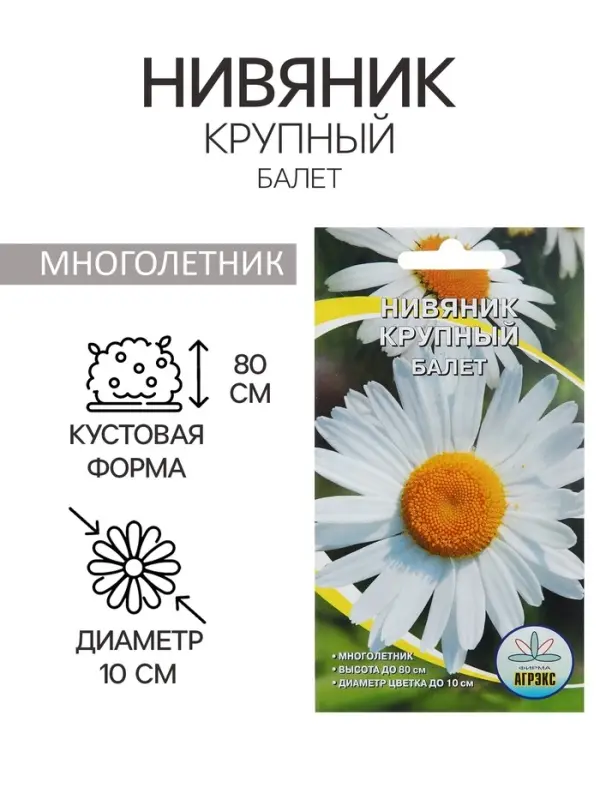 Семена цветов Нивянник, многолетний, белый 0,1 г Семена цветов Нивянник, многолетний, белый 0,1 г