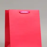 Пакет подарочный ламинированный, упаковка, &laquo;Фуксия&raquo;, ML 23&times;27&times;11.5 см