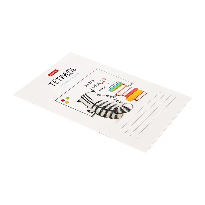 Тетрадь для записи иностранных слов А6 24 листа &laquo;Приключения кота Пирожка&raquo;