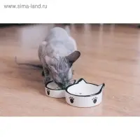 Миска двойная &laquo;Кошачье семейство&raquo;, 40/60 мл, 19&times;10.5&times;3.5 см, керамика, белая, чёрная