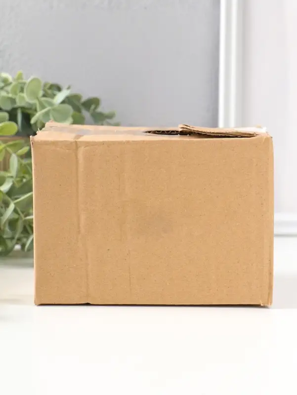 Сувенир полистоун "Лягушонок на коряге с улиткой на голове" 9,5 см