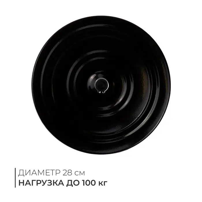 Диск здоровья, металлический, d=28 см, двухцветный