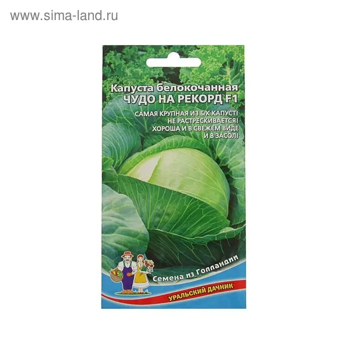 Семена Капусты белокочанной Семена Капусты белокочанной "Чудо на рекорд" F1 позднеспелый,крупнокочанный, 0,3 г